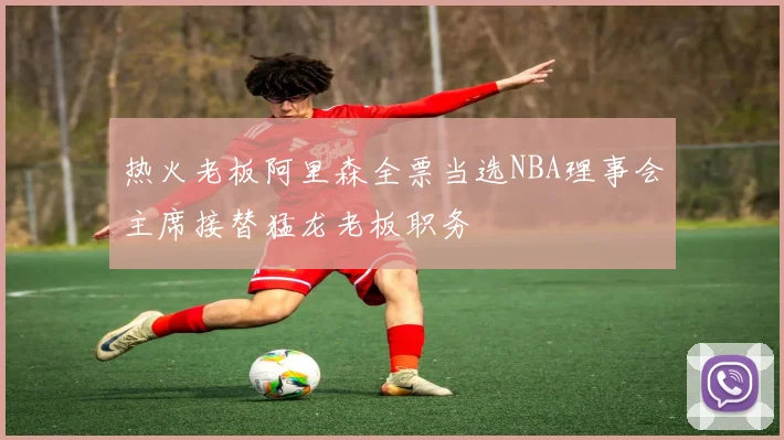 热火老板阿里森全票当选NBA理事会主席接替猛龙老板职务