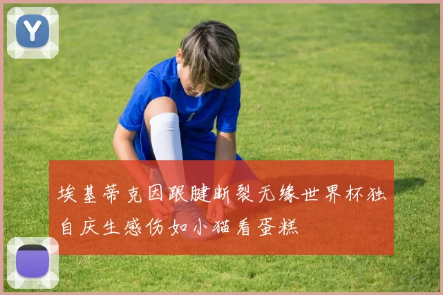 埃基蒂克因跟腱断裂无缘世界杯独自庆生感伤如小猫看蛋糕